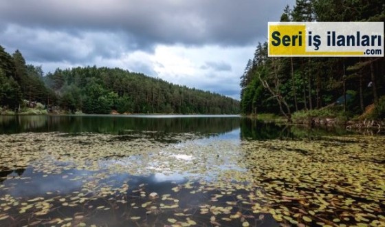 Bilecik Seri İş İlanları - Seri ilanlar