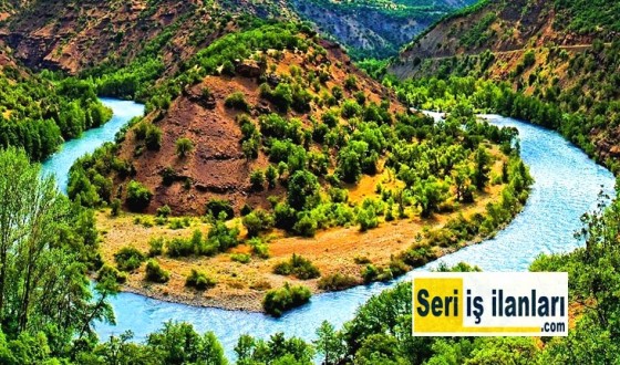 Tunceli Seri İş İlanları - Seri ilanlar