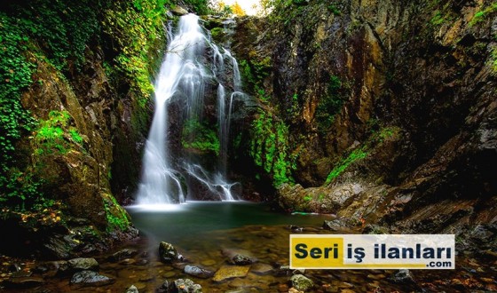 Yalova seri iş ilanları - Seri ilanlar