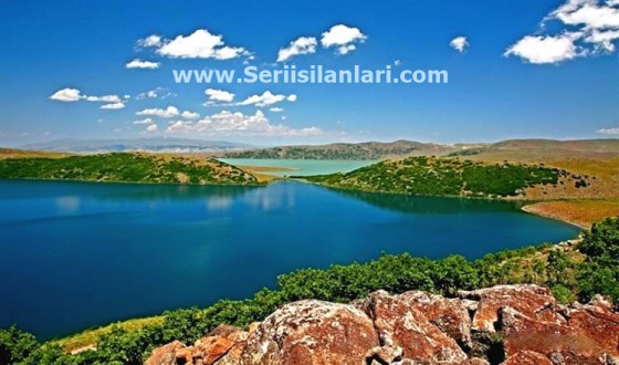 Muş Seri İş İlanları - Seri ilanlar