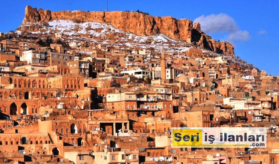 Mardin Seri İş İlanları - Seri İlanlar