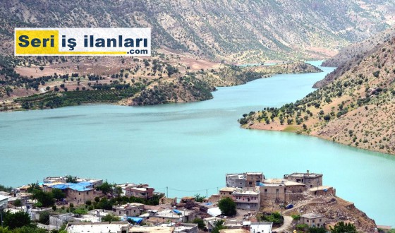 Siirt Seri İş İlanları - Seri ilanlar
